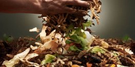 {$title} - Gardening Tips