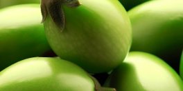 How To Grow A Jilo Brazilian Eggplant? - Gardening Tips