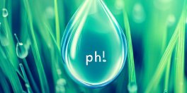 Make a Lawn More Acidic by Lowering the pH of Grass - Gardening Tips