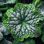 Best Organic Ways to Deal with Powdery Mildew - Gardening Tips