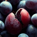 How to Fix Grapes That Crack and Split? - Gardening Tips