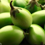 How To Grow A Jilo Brazilian Eggplant? - Gardening Tips