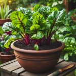 Rooting for Success: How to Grow Beets in Containers - Gardening Tips