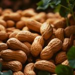 Tips for Growing Spanish Peanuts in the Garden - Gardening Tips