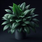 Is ZZ Plant Safe for Pets and Children? - Gardening Tips