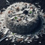 Breaking News: Shredded Newspaper Revolutionizes Composting! - Composting Tips