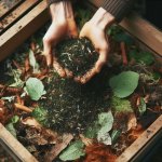 Can I compost expired herbs and spices? - Composting Tips
