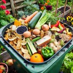 Can You Compost Cooked Food? Best Practices Explained? - Composting Tips