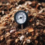 How long does it take for compost to be ready for use in the garden? - Composting Tips