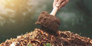 Composting and Climate Change: How Your Compost Pile Helps the Planet - Popular Guide