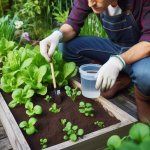 Garden Know-How: How to Test Soil pH at Home - Gardening Tips