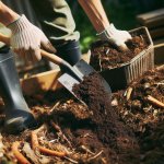 How do I harvest and store compost for future use? - Composting Tips