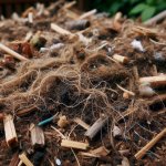 How do I compost hair and nail waste from salons? - Gardening Tips