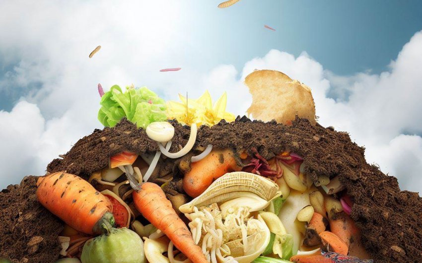 The Composting Journey: From Kitchen Scraps to Nutrient-Rich Soil