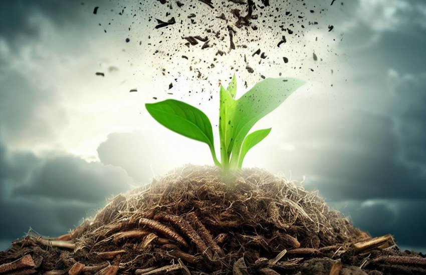 The Power of Compost: Transforming Poor Soil into Fertile Ground